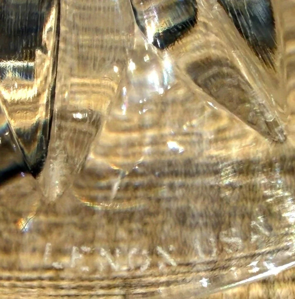 Lenox Charleston Crystal Iced Tea Glasses 6.75
